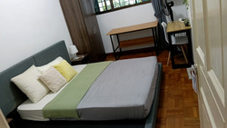 Tanjong Katong Road (D15), Apartment #556041921